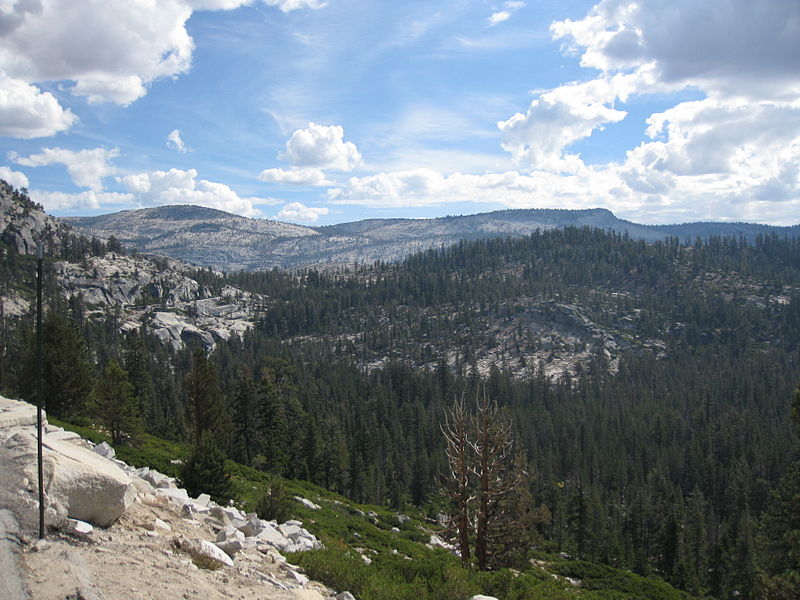 File:A view from the Tioga Road IMG 4389.JPG