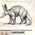 Aardvark (PSF).jpg