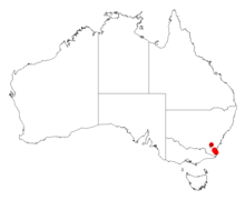 Acacia georgensisDistMap381.png