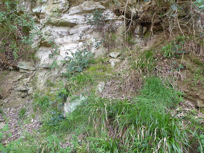 File:Allington Quarry 1.jpg