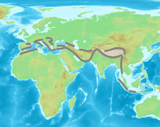 Cinturón alpino (Mesozoico tardío (Eoalpina) y actual Cenozoico)
