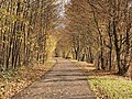 Neckartal-Radweg bei Benningen