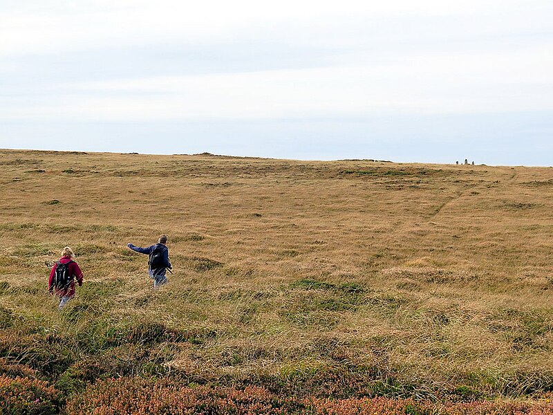 File:Approaching the Nine Maidens Stone Circle - geograph.org.uk - 5143835.jpg