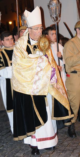 File:Archbishop of Braga Jorge Ortiga.JPG