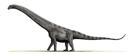 アルゼンチノサウルス Wikipedia