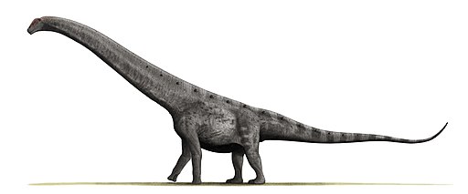 Argentinosaurus BW