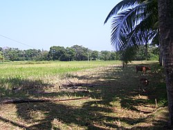 Attur village