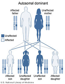 Autosomal_Dominant_Inheritance