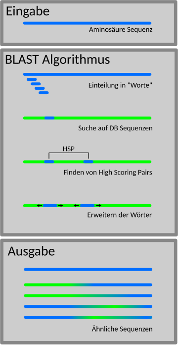 BLAST-Algorithmus