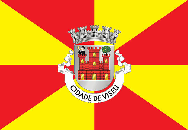 Bandeira de Viseu