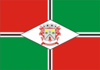 Bandeira papanduva.png