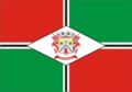Bandeira de Papanduva