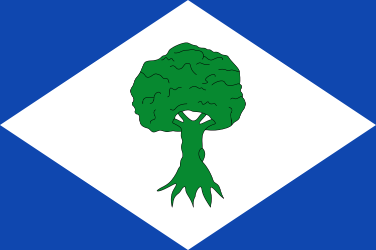 Bandera de Noceda del Bierzo (León).svg