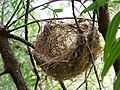 Гнездо во облик на кошничка