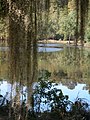 The Camp Salmen Nature Park Property, on which the Camp Salmen House is located, has almost one-half mile of frontage along Bayou Liberty.