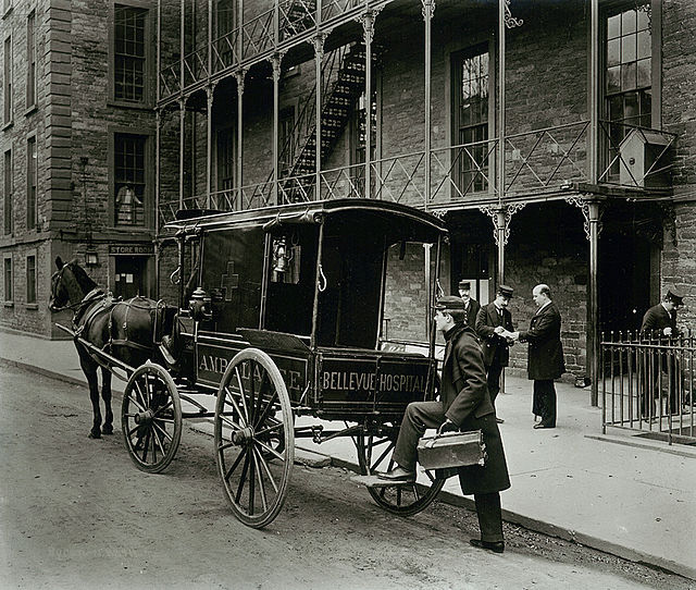 A horse-drawn Bellevue Hospital ambulance in New York City, 1895
