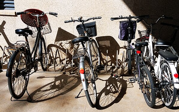 Bicycles at their parking space