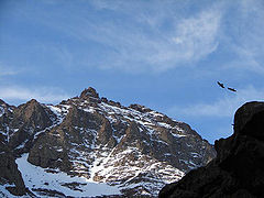Birds soaring above the path to the summit