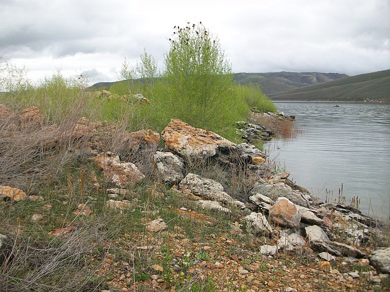 File:Birds on a tree dyeclan.com - panoramio.jpg