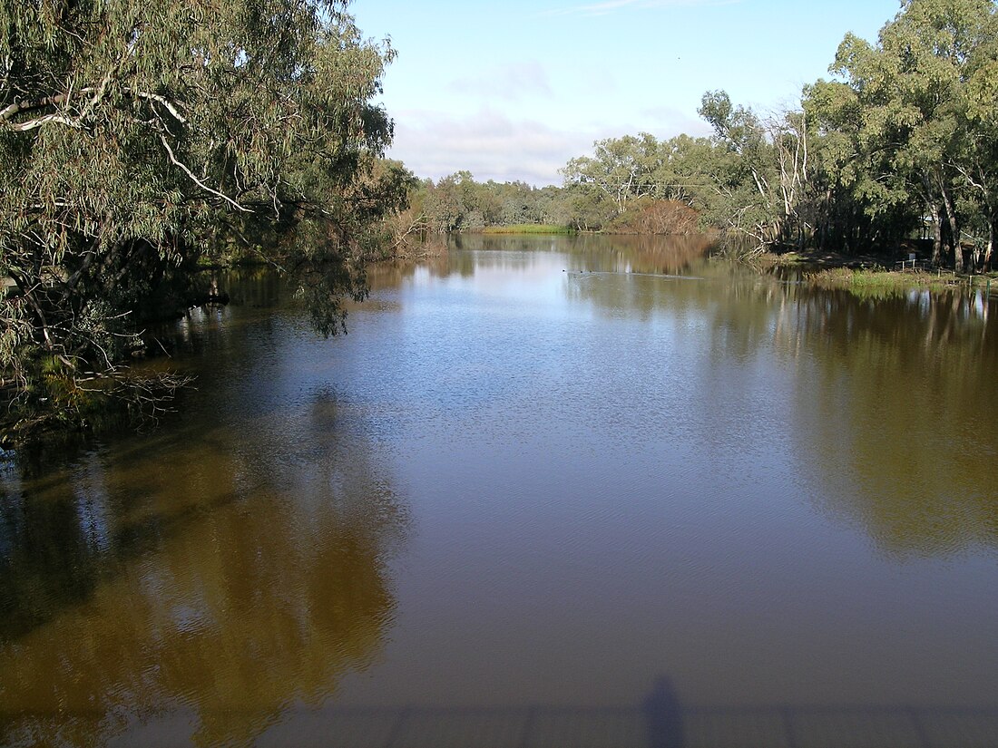 Bogan River (suba sa Ostralya, State of New South Wales, lat -29,95, long 146,35)