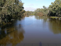 Bogan Nehri-Nyngan.JPG