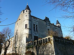 Le château de Puymarteau.