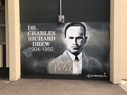 Mural of Doctor Charles R. Drew at the Charles Richard Drew Educational Campus / Intermediate School in the Bronx, NY