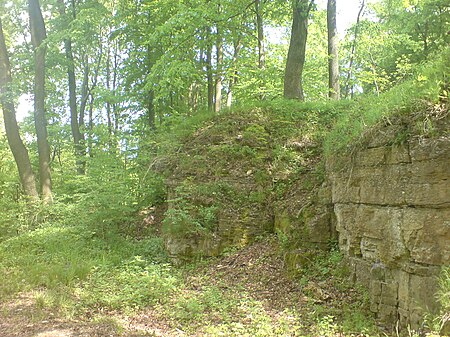 Burgruine Birkenstein (Eichsfeld)