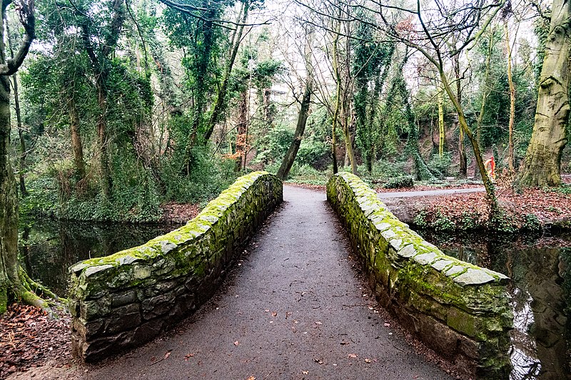 File:Bushy Park, Dublin -149849 (46587339534).jpg