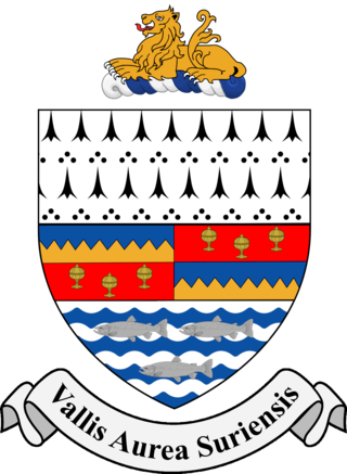 <span class="mw-page-title-main">South Tipperary County Council</span> Former local government authority for the county of South Tipperary in Ireland (1898–2014)