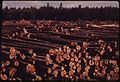 COLD DECK LOG STORAGE NEAR OLYMPIA. THIS METHOD IS PREFERRED OVER WATER STORAGE WHICH ADVERSELY AFFECTS WATER QUALITY - NARA - 552197.jpg