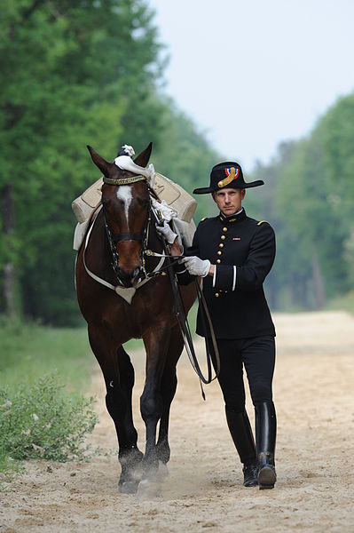 File:Cadre noir - Stéphane Gigot sauteur 9.JPG