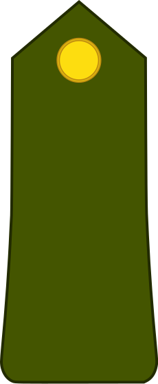 File:Cameroon-Army-OR-1.svg