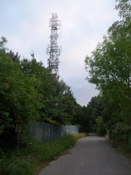 File:Canford Heath, radio mast in waterworks grounds - geograph.org.uk - 1393685.jpg
