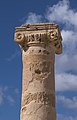 * Nomination Capital of a column in Paphos Archaeological Park. --LexKurochkin 20:35, 8 February 2021 (UTC) * Promotion  Support Good quality. --Rhododendrites 22:15, 8 February 2021 (UTC)