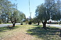 Park in the middle of Wyalong St - Mid Western Highway - at Caragabal, New South Wales]]