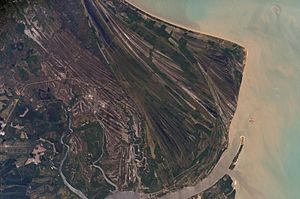 Caravelas strandplain, State of Bahia, Brazil. CaravelasStrandplain1.jpg