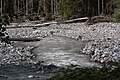 Mount Rainier National Park