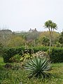 Carreg Dhu Gardens and Sunnyside farmhouse, near Rocky Hill - geograph.org.uk - 794199.jpg