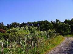 Castellare di Montevarchi