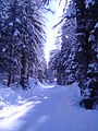 Chamonix-Mont-Blanc -- De Montroc au Planet