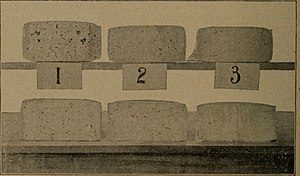 The effect of dairy salt in Cheddar cheese making: increased use of salt reduces moisture and slows the ripening process. Cheddar cheese making (1895) (20577597926).jpg