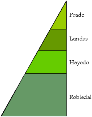 Zonación Altitudinal