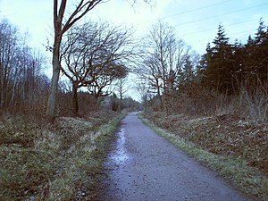 Madeira de Clowes.  A rota, que foi fechada em 1953, é agora usada por ciclistas e caminhantes como uma ciclovia de caranguejos e bichinhos (olhando para Whitstable).