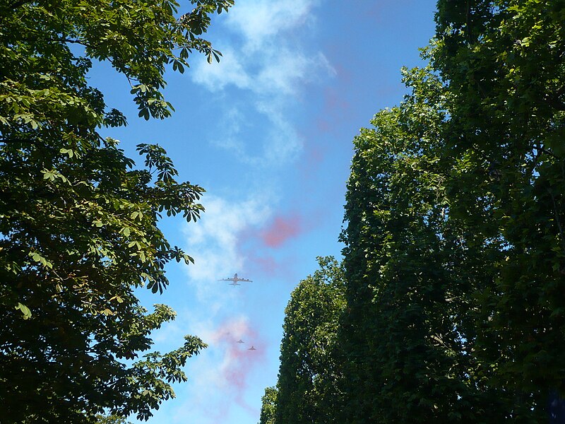 File:Défilé aérien du 14 juillet 2008 001.jpg