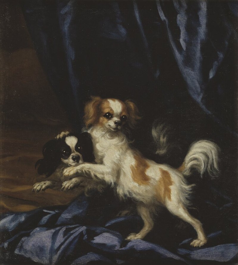 800px-David_Kl%C3%B6cker_Ehrenstrahl_-_Two_Small_Dogs_-_NMDrh_321_-_Nationalmuseum.jpg