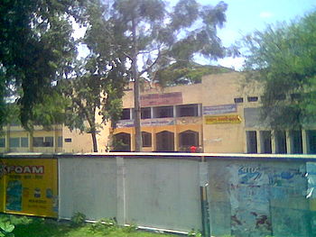 Degree College