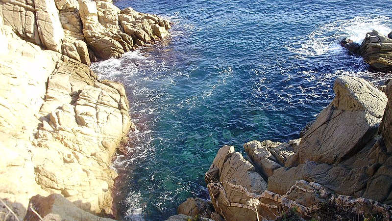 File:Detall camí de ronda de Palamós a les Cales de Cala Estreta (Costa Brava) - panoramio.jpg