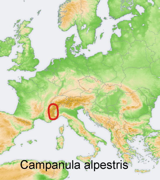 File:Distribution map Campanula alpestris.png