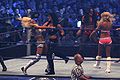 Diva Battle Royal at WrestleMania 25.jpg